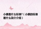 小康是什么標準?（小康的標準是什么簡介介紹）