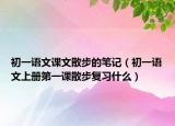 初一語文課文散步的筆記（初一語文上冊第一課散步復(fù)習(xí)什么）