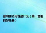 音響的功用性是什么（第一音響的好處是）