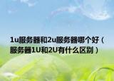 1u服務(wù)器和2u服務(wù)器哪個(gè)好（服務(wù)器1U和2U有什么區(qū)別）