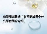 有贊商城是啥（有贊商城是個什么平臺簡介介紹）