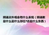 陰道炎外觀會有什么表現(xiàn)（陰道歉是什么是什么部位?還是什么東西）