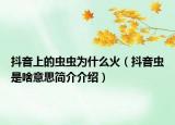 抖音上的蟲(chóng)蟲(chóng)為什么火（抖音蟲(chóng)是啥意思簡(jiǎn)介介紹）