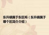 東升鎮(zhèn)屬于東區(qū)嗎（東升鎮(zhèn)屬于哪個區(qū)簡介介紹）
