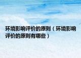 環(huán)境影響評價的原則（環(huán)境影響評價的原則有哪些）