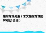 越前龍雅男主（求文越前龍雅的BG簡(jiǎn)介介紹）