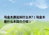 烏金木原名叫什么木?（烏金木是什么木簡(jiǎn)介介紹）