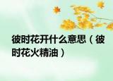 彼時花開什么意思（彼時花火精油）