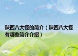 陜西八大怪的簡(jiǎn)介（陜西八大怪有哪些簡(jiǎn)介介紹）