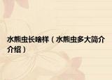 水熊蟲長(zhǎng)啥樣（水熊蟲多大簡(jiǎn)介介紹）