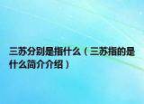 三蘇分別是指什么（三蘇指的是什么簡介介紹）