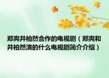 鄭爽井柏然合作的電視劇（鄭爽和井柏然演的什么電視劇簡介介紹）