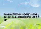 向往的生活里面abcd游戲是怎么玩的（向往的生活abcd游戲規(guī)則是什么簡(jiǎn)介介紹）