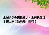 王保長李保田抓壯丁（王保長抓壯丁和王保長新篇是一部嗎）