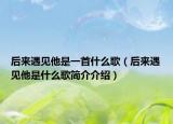 后來遇見他是一首什么歌（后來遇見他是什么歌簡介介紹）