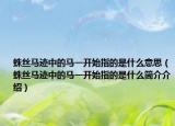 蛛絲馬跡中的馬一開始指的是什么意思（蛛絲馬跡中的馬一開始指的是什么簡介介紹）
