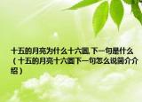 十五的月亮為什么十六圓,下一句是什么（十五的月亮十六圓下一句怎么說簡介介紹）