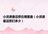 小靈通查話費在哪里查（小靈通查話費打多少）