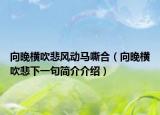 向晚橫吹悲風(fēng)動馬嘶合（向晚橫吹悲下一句簡介介紹）