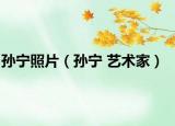 孫寧照片（孫寧 藝術(shù)家）