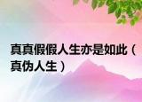 真真假假人生亦是如此（真?zhèn)稳松? /></span></a>
                        <h2><a href=