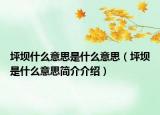 坪壩什么意思是什么意思（坪壩是什么意思簡(jiǎn)介介紹）