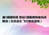 澹織鍑屼簯 椋炶灝勫嚮娓告垙涓嬭澆（壯志凌云 飛行射擊游戲）