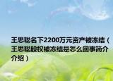 王思聰名下2200萬元資產(chǎn)被凍結(jié)（王思聰股權(quán)被凍結(jié)是怎么回事簡(jiǎn)介介紹）