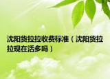 沈陽貨拉拉收費(fèi)標(biāo)準(zhǔn)（沈陽貨拉拉現(xiàn)在活多嗎）
