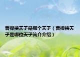 曹操挾天子是哪個天子（曹操挾天子是哪位天子簡介介紹）
