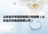 山東兔巴哥集團(tuán)有限公司招聘（山東兔巴哥集團(tuán)有限公司）