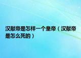漢獻(xiàn)帝是怎樣一個(gè)皇帝（漢獻(xiàn)帝是怎么死的）