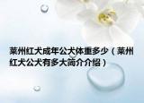 萊州紅犬成年公犬體重多少（萊州紅犬公犬有多大簡(jiǎn)介介紹）