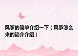 風(fēng)箏的簡(jiǎn)單介紹一下（風(fēng)箏怎么來(lái)的簡(jiǎn)介介紹）