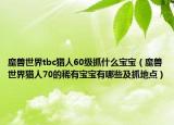 魔獸世界tbc獵人60級抓什么寶寶（魔獸世界獵人70的稀有寶寶有哪些及抓地點）