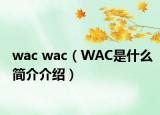 wac wac（WAC是什么簡(jiǎn)介介紹）