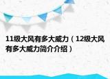 11級(jí)大風(fēng)有多大威力（12級(jí)大風(fēng)有多大威力簡(jiǎn)介介紹）