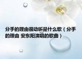 分手的理由很動(dòng)聽是什么歌（分手的理由 安東陽演唱的歌曲）