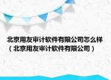北京用友審計(jì)軟件有限公司怎么樣（北京用友審計(jì)軟件有限公司）