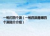 一槍打四個(gè)洞（一槍四洞是哪四個(gè)洞簡(jiǎn)介介紹）