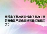 雨帶來了悲涼還是帶走了悲涼（雨的離去是不是也意味著我們?cè)摻Y(jié)束了）
