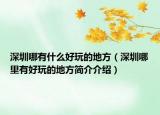 深圳哪有什么好玩的地方（深圳哪里有好玩的地方簡介介紹）
