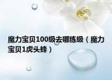 魔力寶貝100級去哪練級（魔力寶貝1虎頭蜂）