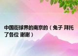 中國街球界的南京的（兔子 拜托了各位 謝謝）