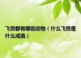 飛獸都有哪些動(dòng)物（什么飛獸是什么成語(yǔ)）