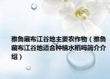 雅魯藏布江谷地主要農(nóng)作物（雅魯藏布江谷地適合種植水稻嗎簡介介紹）