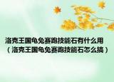洛克王國(guó)龜兔賽跑技能石有什么用（洛克王國(guó)龜兔賽跑技能石怎么搞）