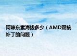 阿咪東索海拔多少（AMD雙核補丁的問題）