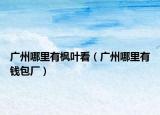 廣州哪里有楓葉看（廣州哪里有錢包廠）