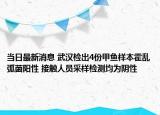 當日最新消息 武漢檢出4份甲魚樣本霍亂弧菌陽性 接觸人員采樣檢測均為陰性